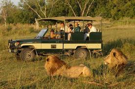 Car Hire Botswana