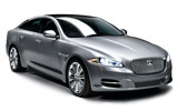 get discounted auto rental for...