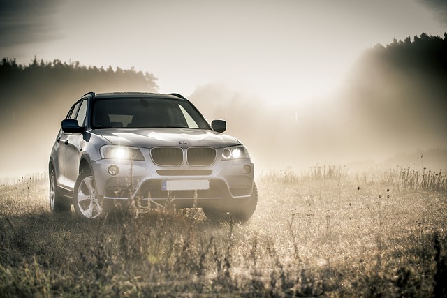 Get a Mustang convertible or choose from wide range of SUVs or MPVs.
