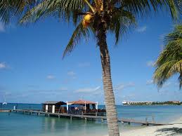 Tide in or tide out, we help auto hire, plain sailing.