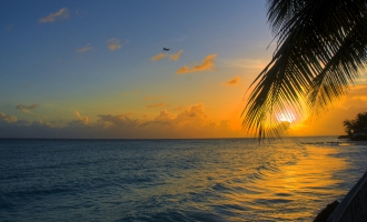 Cars can be delivered to hotels in Barbados.