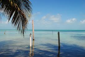 Belizean car rental for less.