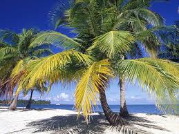 Book cheap car hire in Belize.