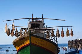 Compare cheaper Funchal Airport holiday auto prices here.
